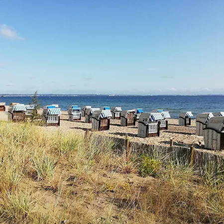 Seepferdchen Timmendorfer Strand