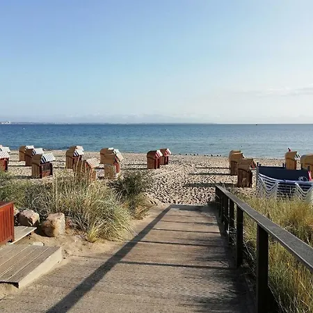 Seepferdchen Timmendorfer Strand