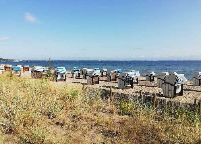 Seepferdchen 蒂门多弗施特兰德