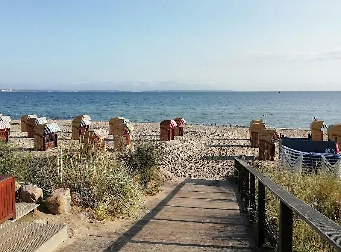 Seepferdchen 蒂门多弗施特兰德